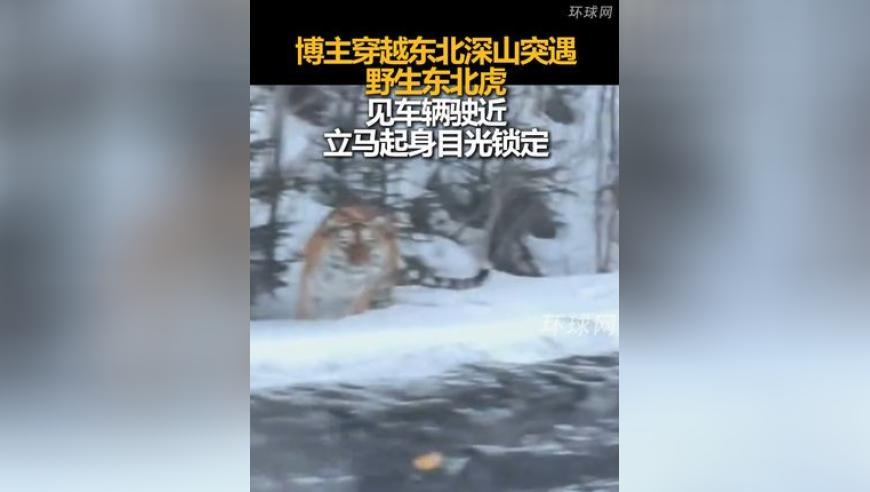 新澳门精准一肖一码准确公开,最高法严打破坏军事设施犯罪,国产化作答解释落实_破例版V5.20