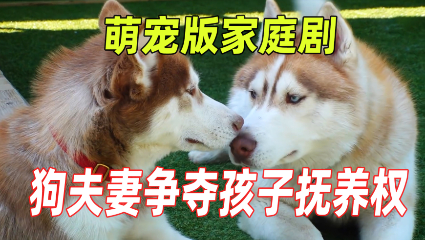 调查称韩国半导体技术全面落后中国,澳门开奖记录开奖结果2025今晚,典故解疑_正式版V8.100